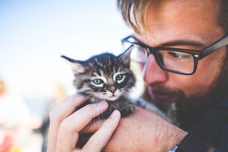 man, kitten, pet-1868563.jpg